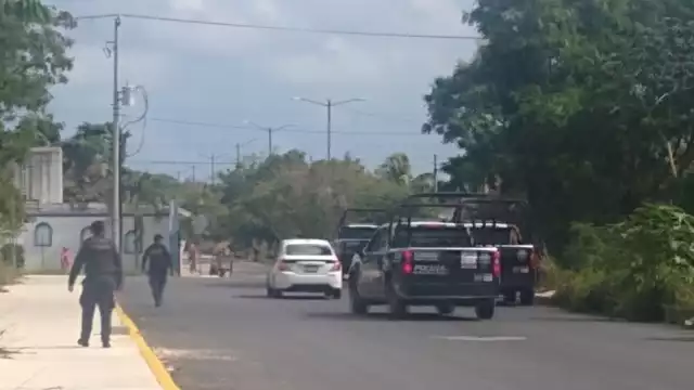 Cabe mencionar que se trata de armas que aparentemente no funcionan