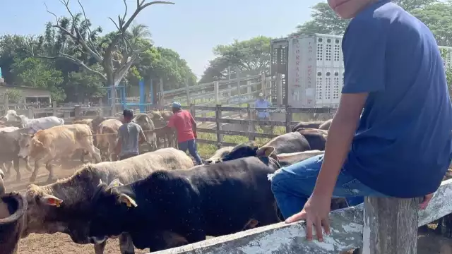 Cata Domínguez presume a través de sus redes sociales a su hijo en un rancho