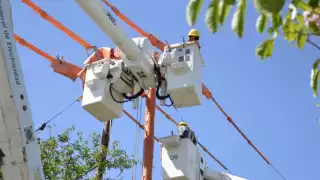 CFE iniciará renovación de red eléctrica en Atasta en junio para frenar fallas eléctricas
