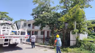 Postes de energía y telefonía caen tras intensa precipitación