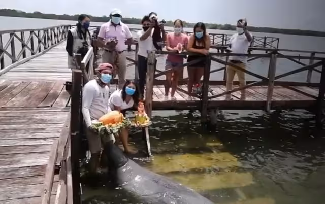 Daniel festejó su cumpleaños con un pastel de frutas