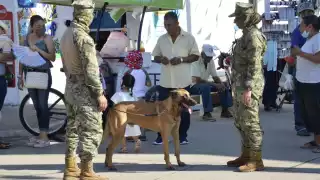 Semar, Sedena y las policías estatal y municipal trabajan en conjunto en los operativos
