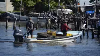 Los pescadores piden reapertura de las zonas de pesca cerca de la Sonda de Campeche