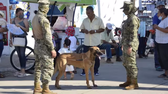 Semar, Sedena y las policías estatal y municipal trabajan en conjunto en los operativos