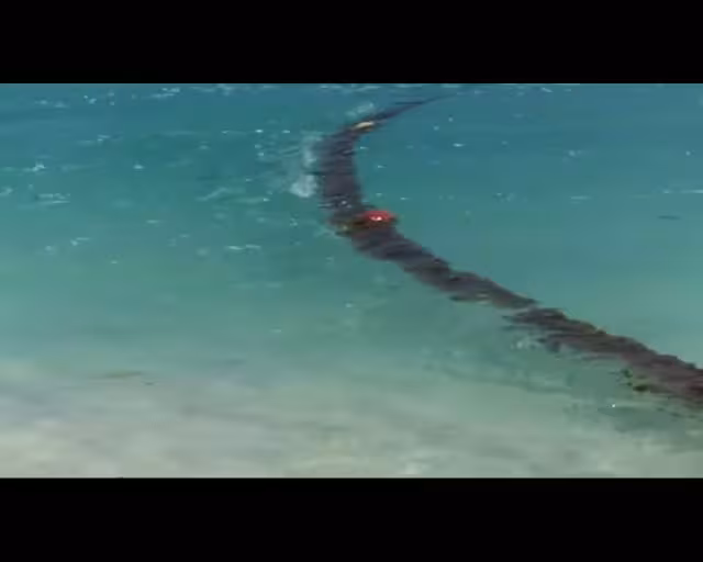 Las autoridades piden cuidar a los menores para evitar accidentes