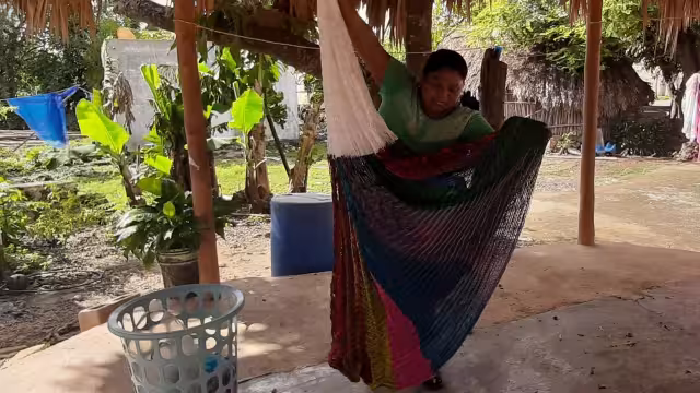 Foto: Luis Enrique Cauich