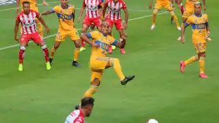 Foto: Twitter @TigresOficial