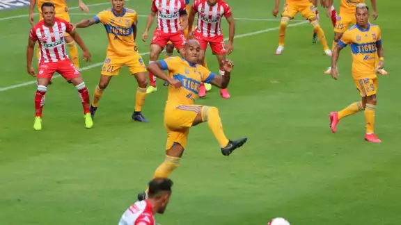 Foto: Twitter @TigresOficial Foto: Twitter @TigresOficial