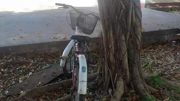 La bicicleta la dejo el hijo de la esposa del ciudadano como pieza de empeño La bicicleta la dejo el hijo de la esposa del ciudadano como pieza de empeño