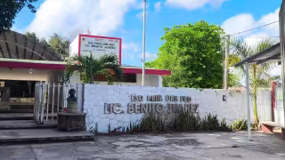 Enjambre de abejas suspende clases en escuela primaria de José María Morelos