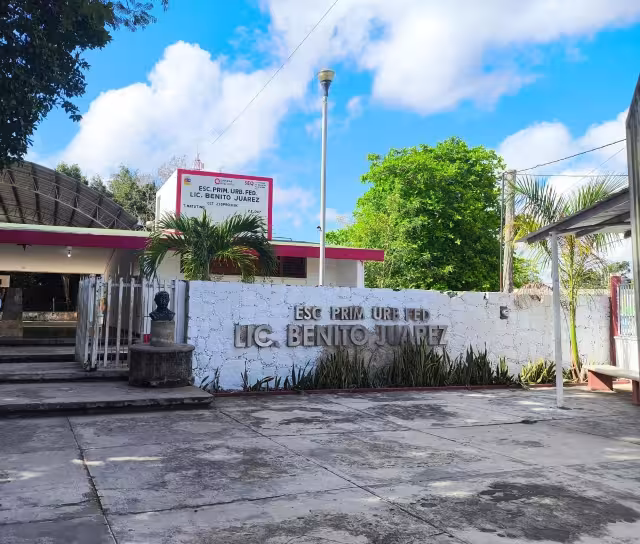 Enjambre de abejas suspende clases en escuela primaria de José María Morelos