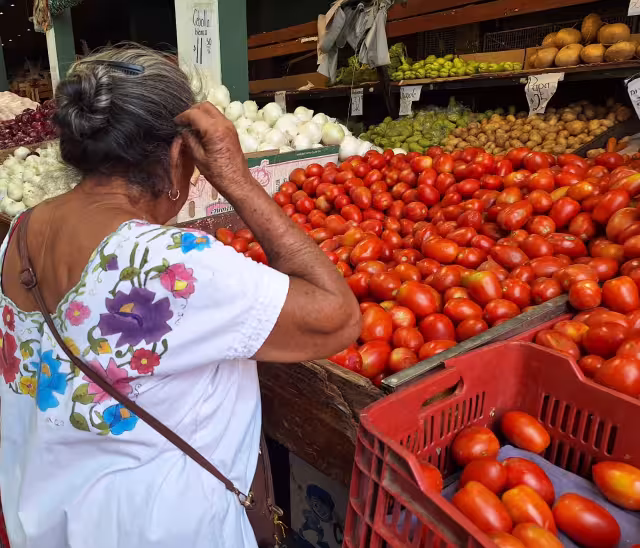 En tres meses, el tomate sube 20 pesos
