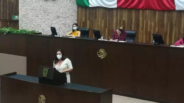 La diputada asegura que el morenista usó una expresión poco profesional y cero legislativo, sólo por debatirle jurídicamente. Foto: David Vázquez