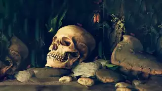 En "Toda felicidad nos cuesta muertos". Hay ironía, hay humor corrosivo