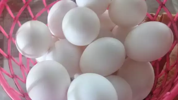 Una pieza de huevo puede llegar a vender en 4 pesos con 50 centavos en Sabancuy Una pieza de huevo puede llegar a vender en 4 pesos con 50 centavos en Sabancuy