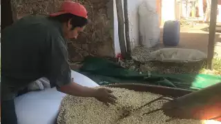 En las oportunidades laborales sobresale los de campo en el cultivo de maíz y frijol