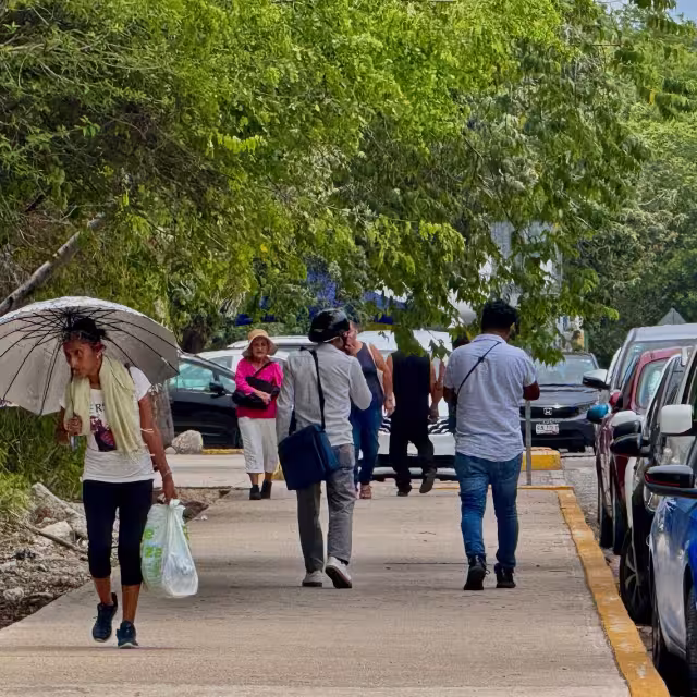 Aunque Quintana Roo no es una zona de alta actividad sísmica, especialistas consideran necesario reforzar la cultura de prevención