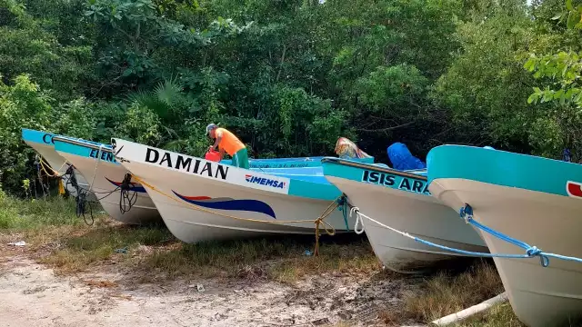 Se desconoce si Protección Civil está realizando medidas de prevención