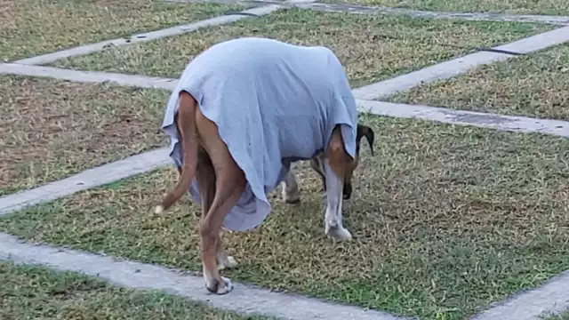 Pobladores señalaron que la acción es un buen gesto, debido al fuerte cambio de temperatura