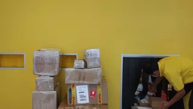 Para engañar, los delincuentes usaron documentos falsos del Gobierno federal