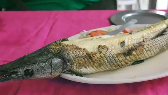 pejelagarto asado pejelagarto asado