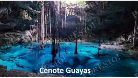 Al interior del cenote Guayas se incorporará para espectáculos una plataforma flotante de acero galvanizado
