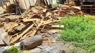 Crece 9.7% la industria maderera en Yucatán durante enero del 2022: Inegi