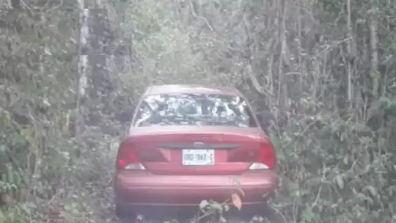 El automóvil fue encontrado en la comunidad de Miguel Hidalgo en el municipio de Bacalar El automóvil fue encontrado en la comunidad de Miguel Hidalgo en el municipio de Bacalar