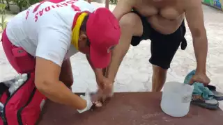 El turista fue atendido por paramédicos, quienes le curaron la herida causada por el anzuelo en Playa del Carmen