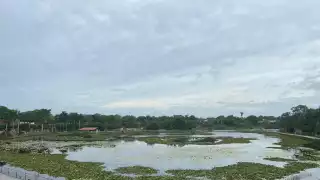 Huracán Beryl ingresa a Yucatán como categoría 1 