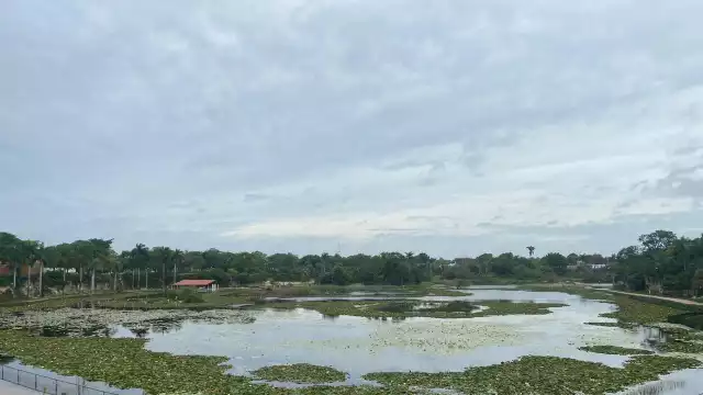 El Huracán Beryl se degradaría a Tormenta Tropical