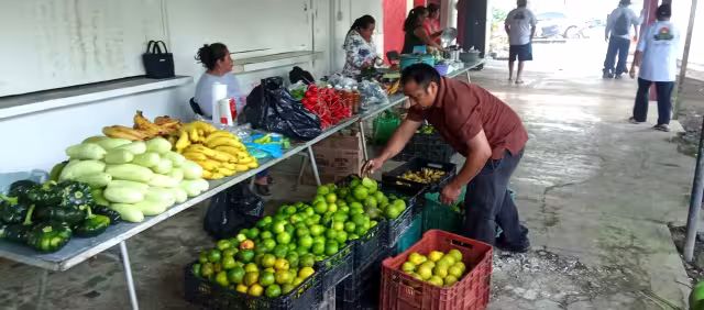 El objetivo del plan es sentar las bases de una economía rural más sólida y autosuficiente