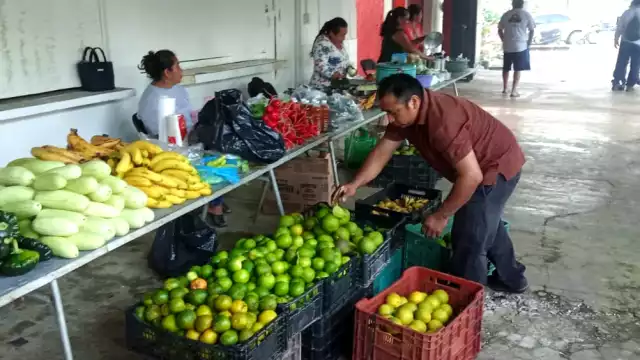 El objetivo del plan es sentar las bases de una economía rural más sólida y autosuficiente
