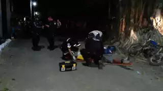 La pareja y su hija embestidas sólo sufrieron golpes