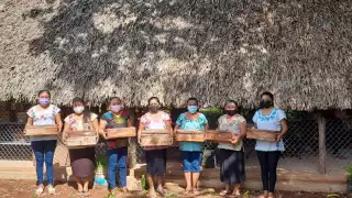 Las apicultoras comenzaron su negocio en 2017 y la fecha han tenido un crecimiento importante