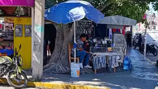 Para los vendedores, la presencia de los ambulantes es una competencia desleal