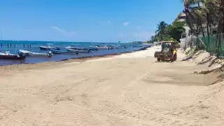 En la zona de El Recodo puede olerse a lo lejos como está pudriéndose el sargazo que se encuentra estancado en la orilla de la costa