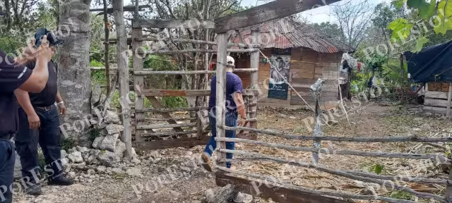 Peritos de la FGE Yucatán se encargaron del levantamiento del cuerpo