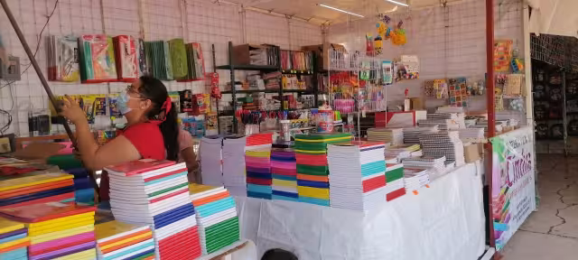 La tradicional feria podría instalarse nuevamente en el parque Tila durante agosto próximo.