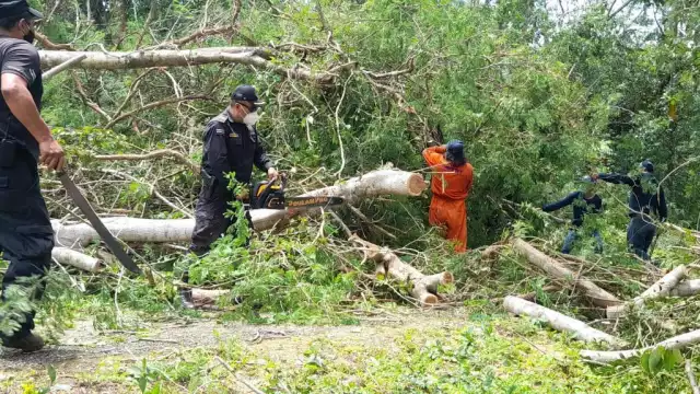 Las autoridades continúan con la limpieza de caminos