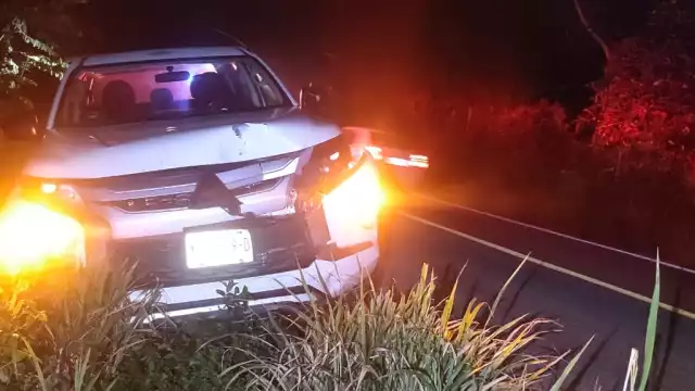 El impacto fue con la parte frontal de la camioneta; el animal se internó en los montes