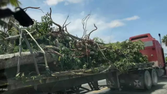 Denuncian a Fonatur de opacidad en Tren Maya