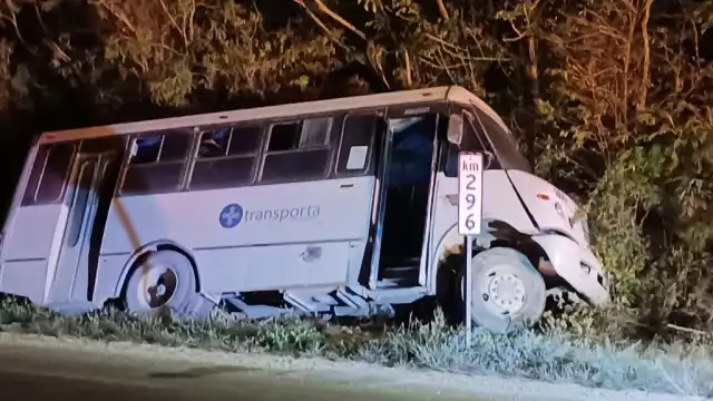 Más tarde acudieron elementos de la Guardia Nacional, quienes procedieron conforme a la ley.