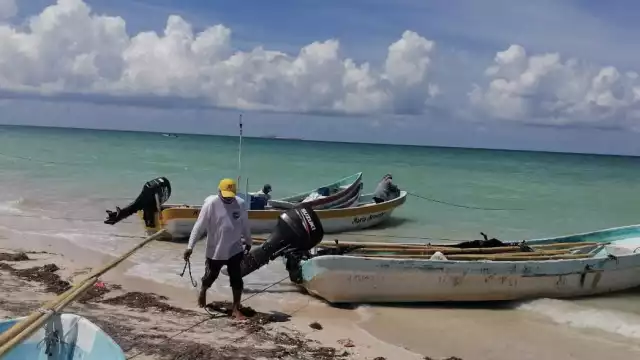 Pescadores compartieron que en una salida al mar lograron la captura de 40 kilos del cefalópodo