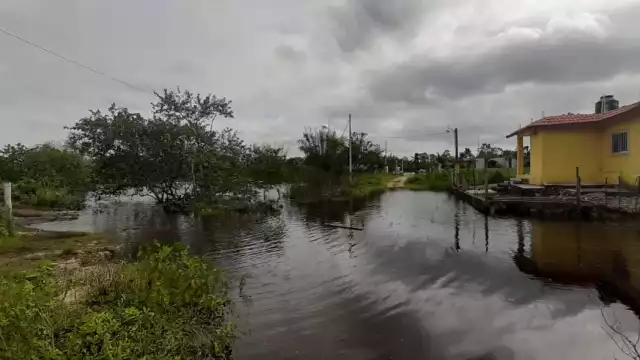 FOTOS: Luis Enrique Cauich