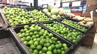 Precios de tomate y limón se triplican en Isla Mujeres; llegan a 75 pesos