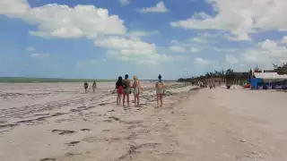¡Muerto el turismo en Holbox! Empresarios prevén baja actividad por Hanal Pixán