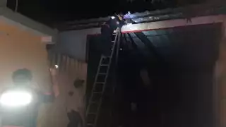 Las abejas se encontraban en la terraza de su vivienda