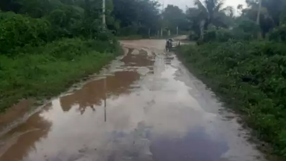 En calles de la colonia Borge se forman lodazales cuando llueve durante varios días; y cuando pasan vehículos, el problema aumenta