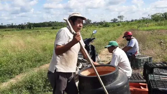 Ahora buscan levantarse con esta siembra de 7 hectáreas Ahora buscan levantarse con esta siembra de 7 hectáreas